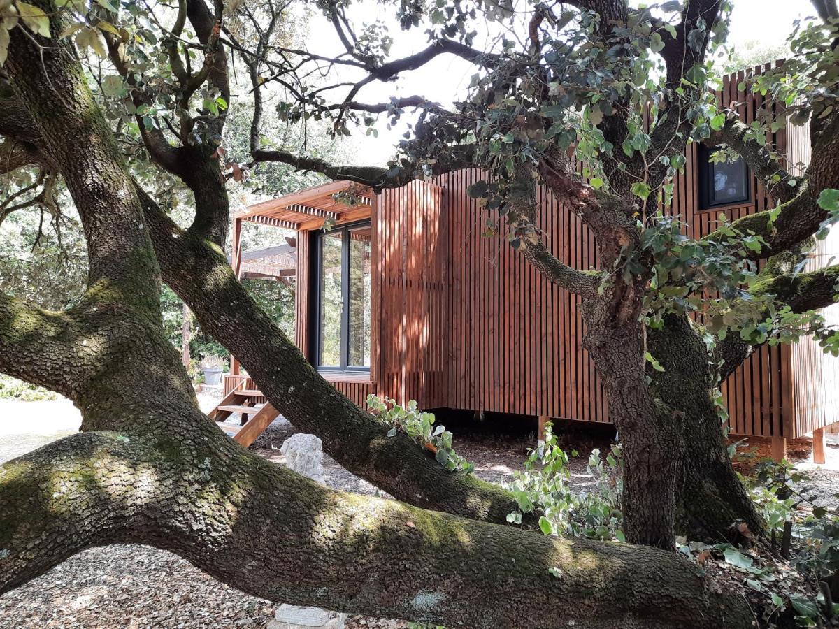 Le Lodge Des Chenes Brousses-et-Villaret Exteriér fotografie