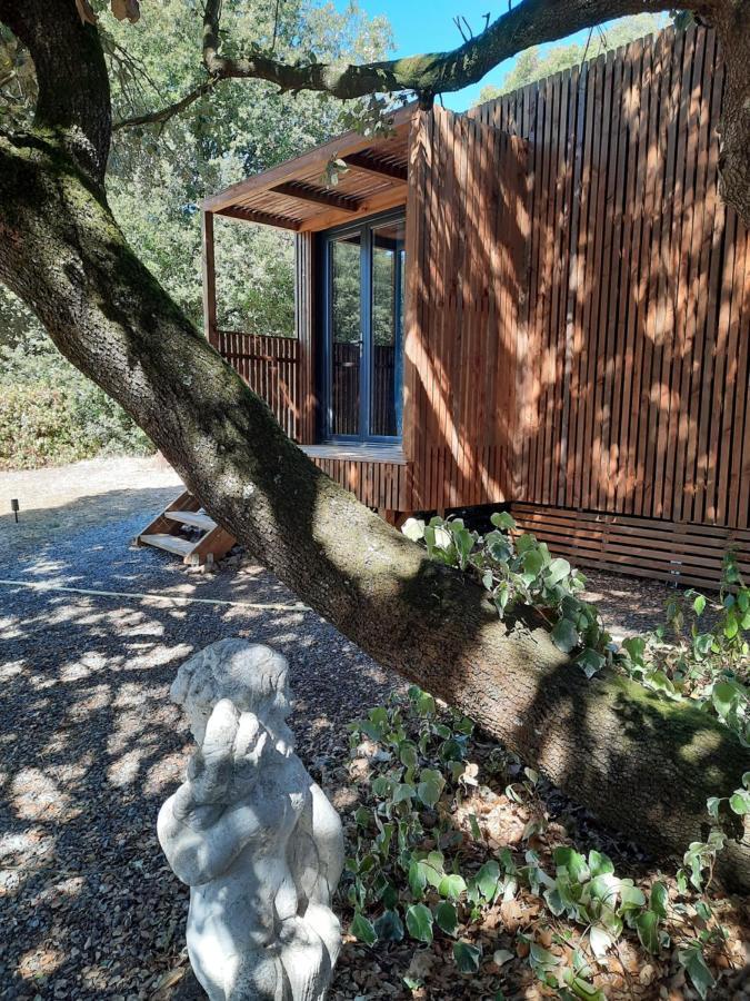 Le Lodge Des Chenes Brousses-et-Villaret Exteriér fotografie