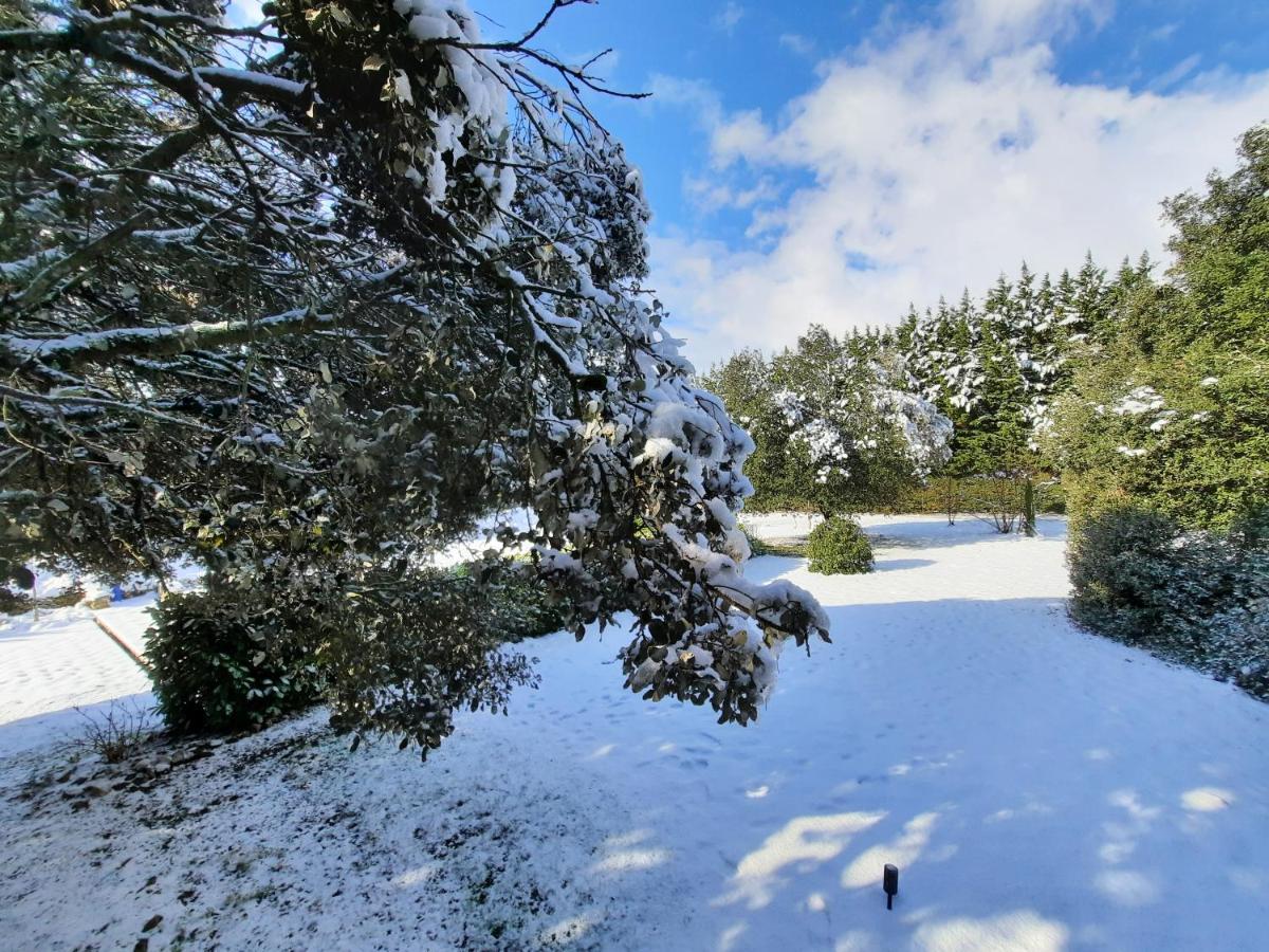 Le Lodge Des Chenes Brousses-et-Villaret Exteriér fotografie