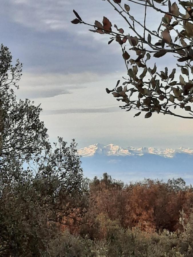 Le Lodge Des Chenes Brousses-et-Villaret Exteriér fotografie